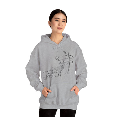 Unisex Antelope Sketch Hoodie